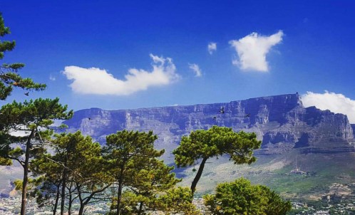 received_10154464025888646-1